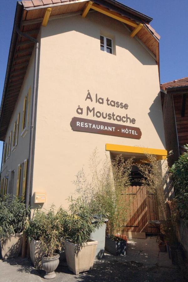 Hotel A La Tasse A Moustache Thonon-les-Bains